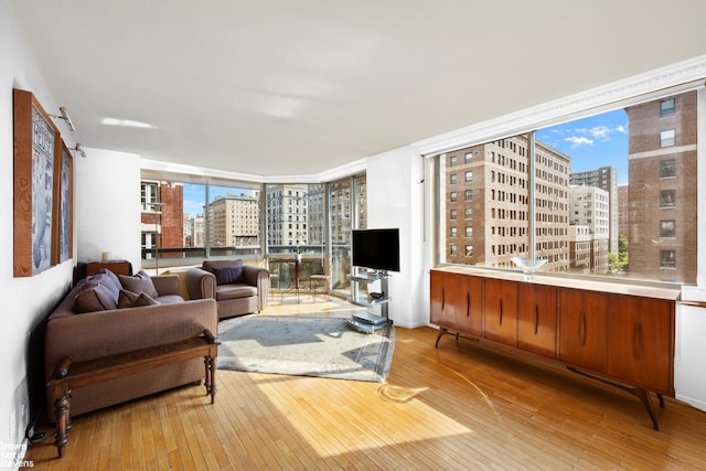 living room featuring light hardwood / wood-style floors