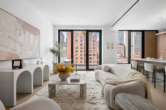 living room featuring floor to ceiling windows and light wood-type flooring