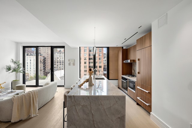 kitchen with ventilation hood, sink, light hardwood / wood-style floors, black oven, and a center island with sink