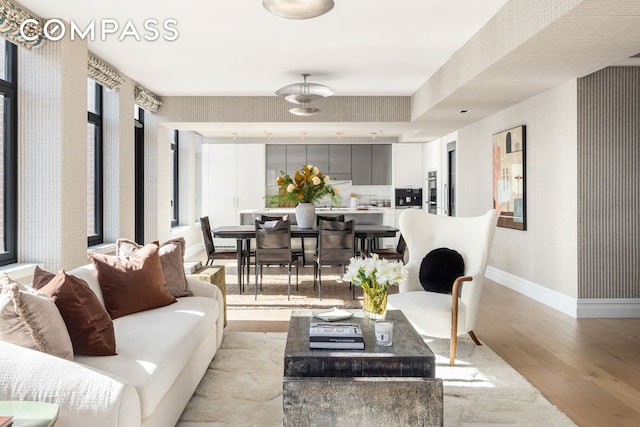 living room featuring light hardwood / wood-style floors