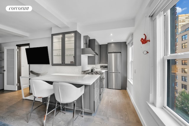 kitchen featuring wall chimney range hood, stainless steel appliances, and plenty of natural light