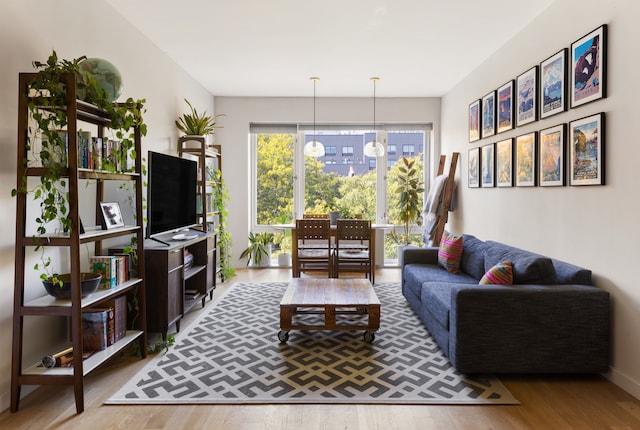 living room with hardwood / wood-style floors