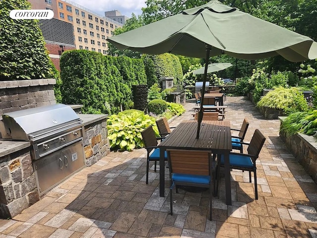 view of patio / terrace with grilling area and an outdoor kitchen