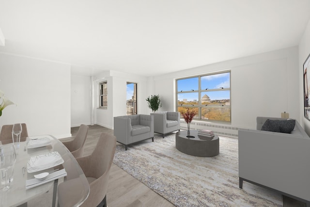 living room with light hardwood / wood-style floors