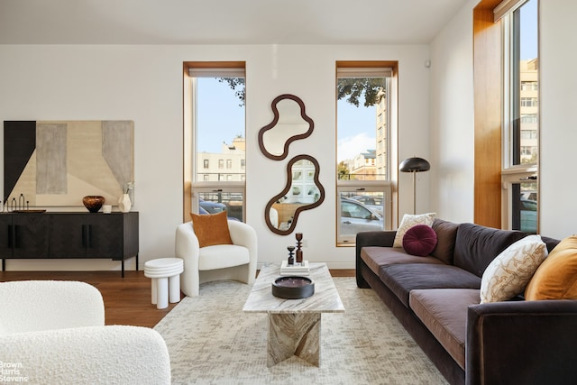 living room with a healthy amount of sunlight and hardwood / wood-style floors