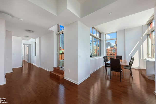 dining room with dark wood-type flooring and a healthy amount of sunlight