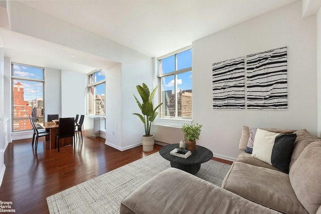 living room with dark hardwood / wood-style flooring and plenty of natural light