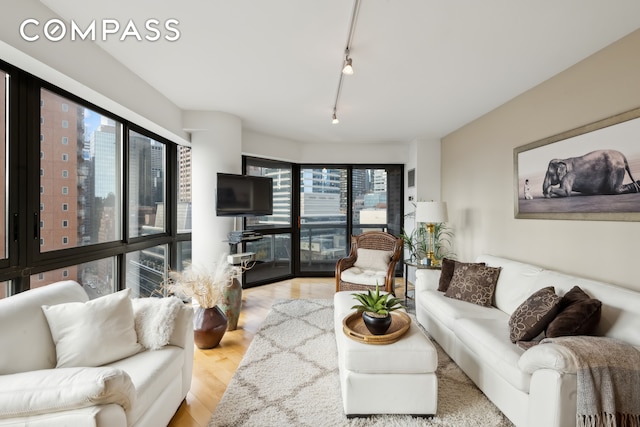 living room featuring rail lighting and light hardwood / wood-style flooring