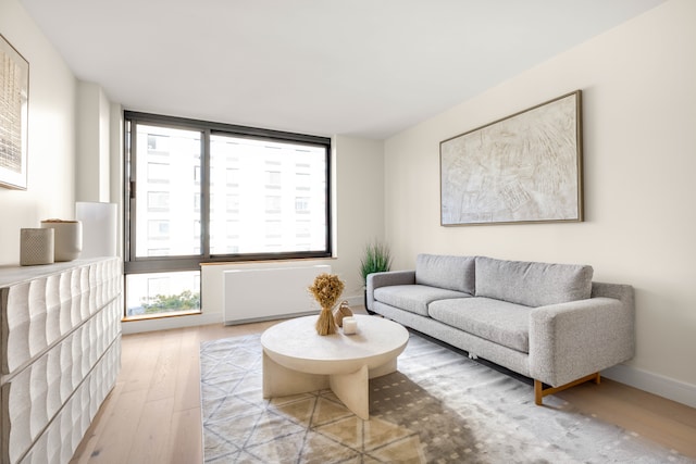 living room with light hardwood / wood-style floors