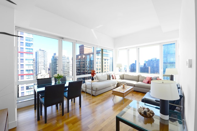 living room featuring hardwood / wood-style flooring