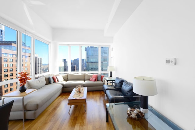 living room with hardwood / wood-style floors