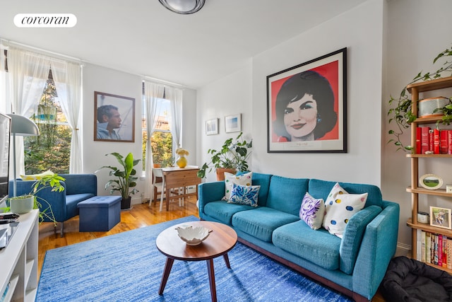 living room featuring light hardwood / wood-style flooring