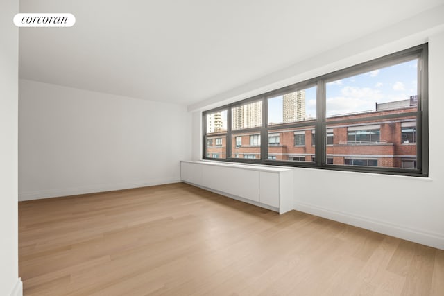 empty room featuring light hardwood / wood-style flooring and plenty of natural light