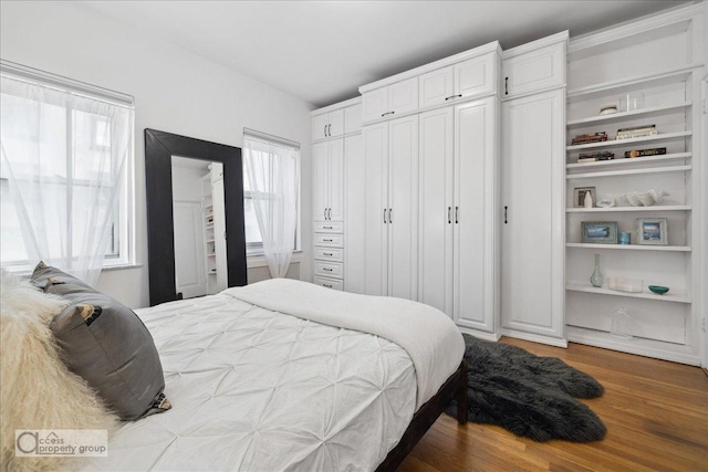 bedroom with two closets, dark hardwood / wood-style floors, and multiple windows