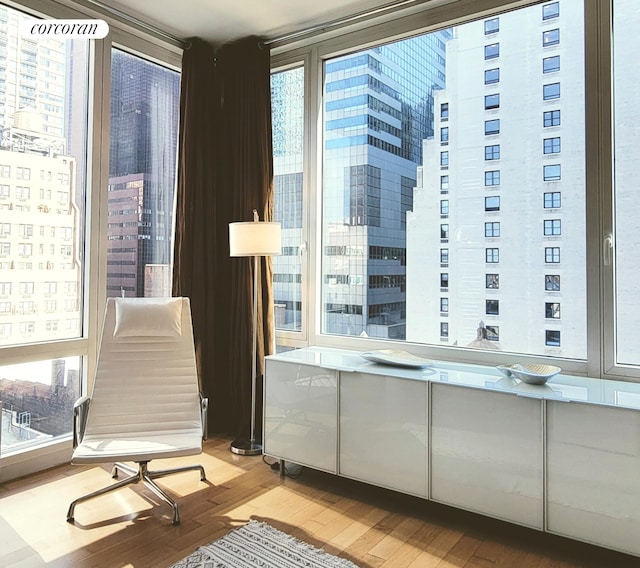 unfurnished room with wood-type flooring