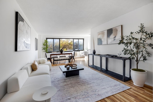 living room with a textured ceiling and hardwood / wood-style flooring