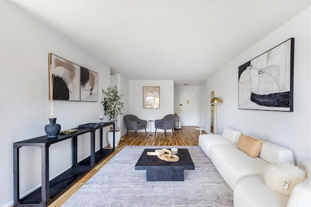 living room featuring wood-type flooring and a textured ceiling