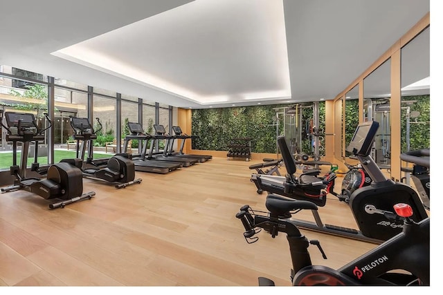 workout area featuring a tray ceiling, a wall of windows, and hardwood / wood-style flooring