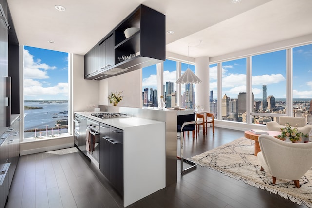 kitchen featuring stainless steel gas cooktop, dark hardwood / wood-style flooring, a water view, and a breakfast bar