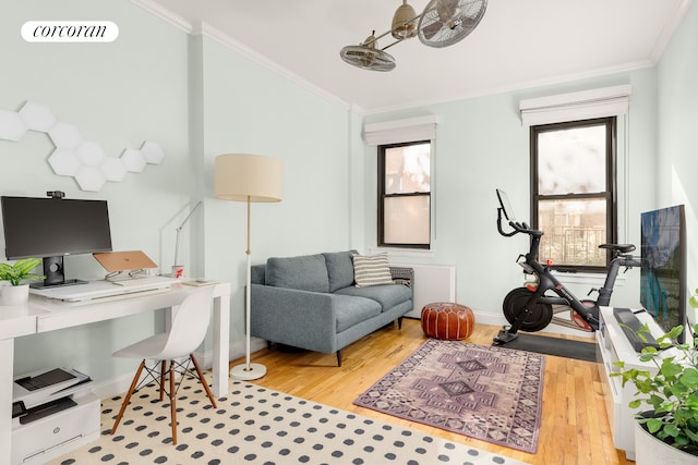 office with light hardwood / wood-style flooring and ornamental molding