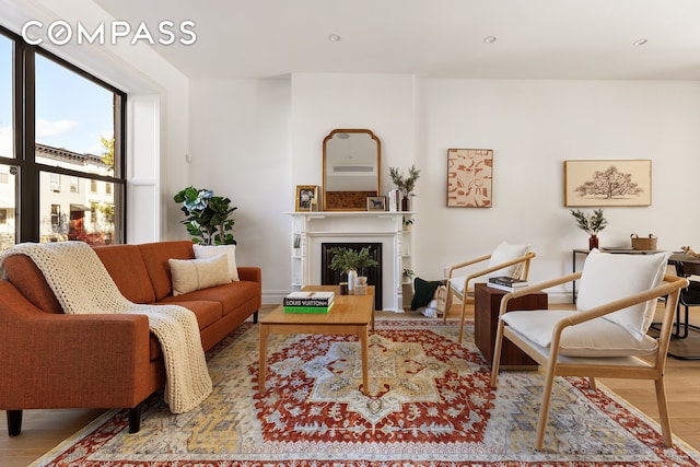 living room featuring light hardwood / wood-style flooring