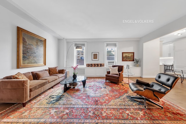 living room featuring wood-type flooring