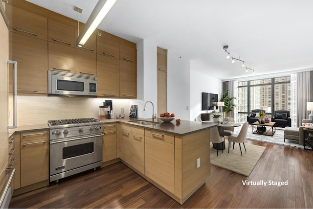 kitchen with sink, kitchen peninsula, decorative backsplash, a wall of windows, and stainless steel appliances