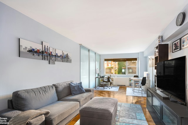 living room featuring wood-type flooring