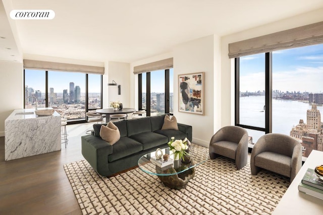 living room with hardwood / wood-style floors, a water view, and sink