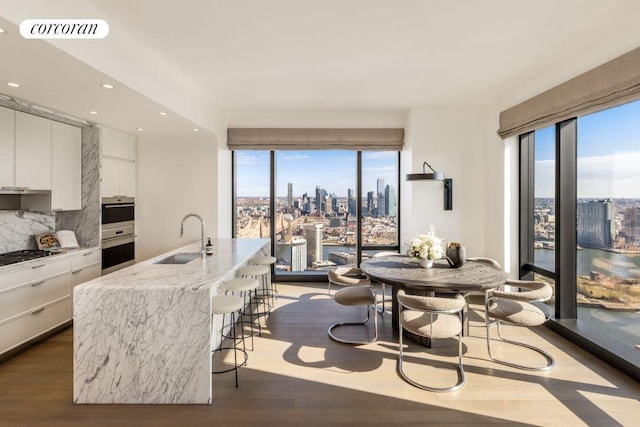 interior space with decorative backsplash, dark hardwood / wood-style flooring, sink, and a wealth of natural light