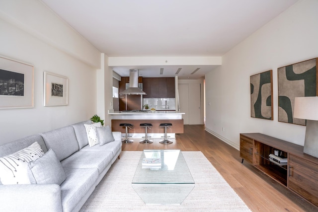 living room featuring light hardwood / wood-style floors