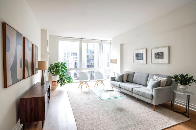 living room with light wood-type flooring and expansive windows