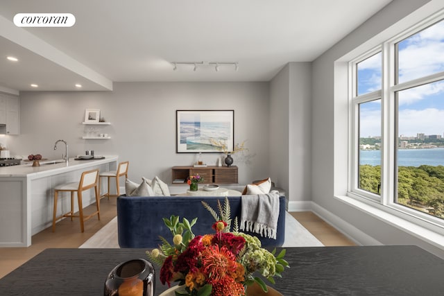 dining room with a healthy amount of sunlight, a water view, light hardwood / wood-style floors, and rail lighting