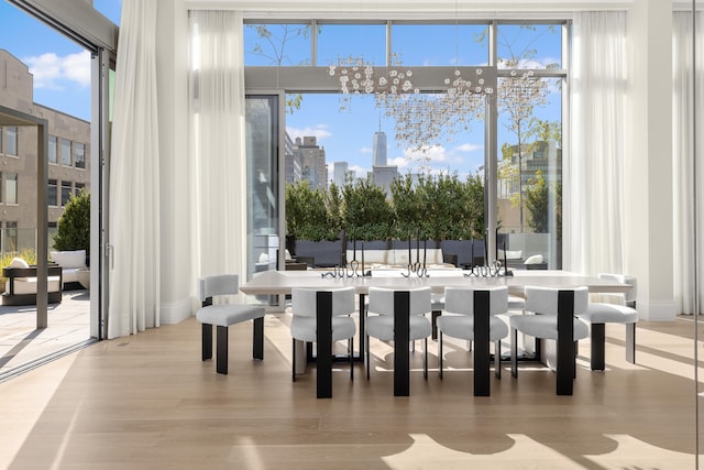 dining room with wood-type flooring