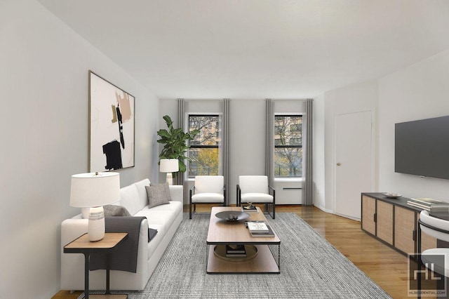 living room featuring hardwood / wood-style floors