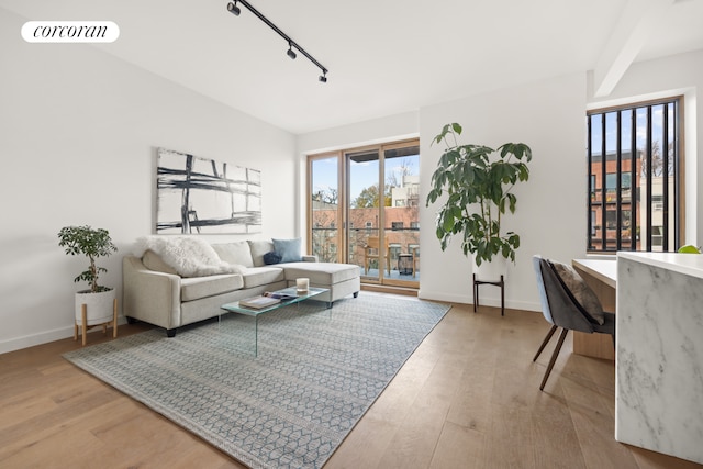 living room with track lighting and light wood-type flooring