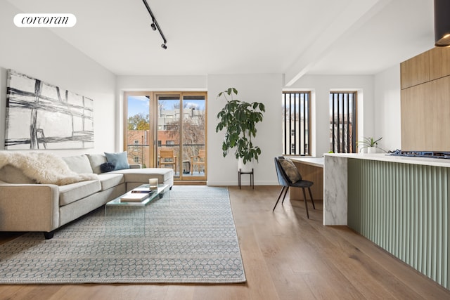 living room featuring beam ceiling, light hardwood / wood-style flooring, and rail lighting