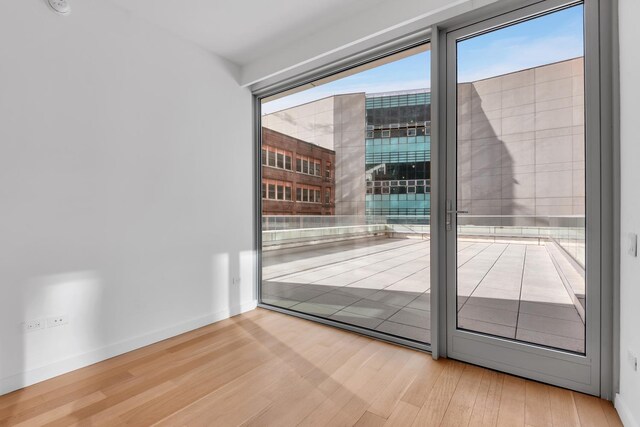 doorway to outside featuring wood-type flooring