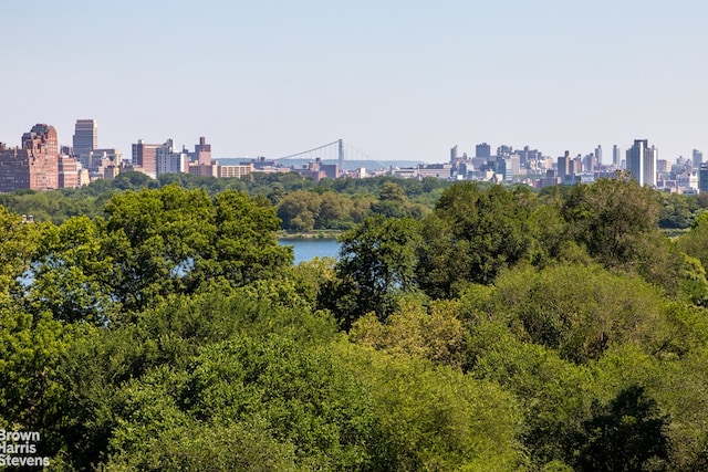 property's view of city featuring a water view