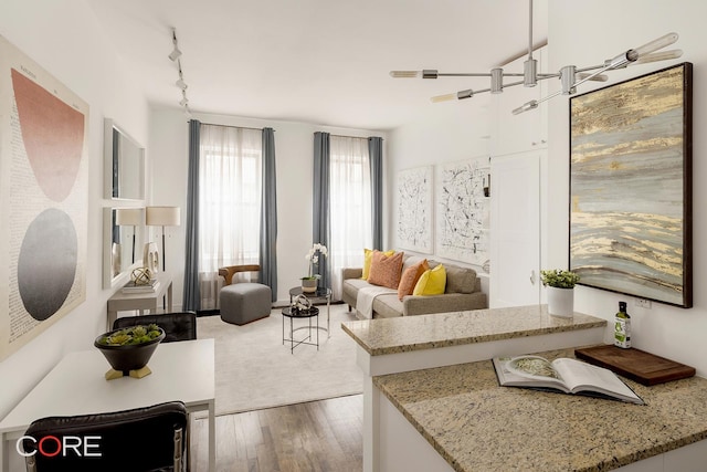 living room featuring hardwood / wood-style floors