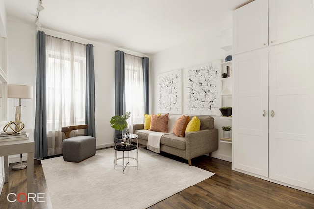 living room with dark hardwood / wood-style flooring