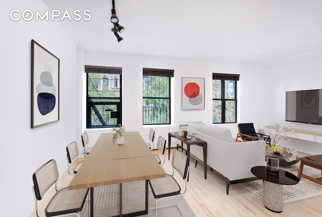 dining area featuring light hardwood / wood-style floors and track lighting