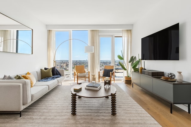 living room with light hardwood / wood-style flooring and floor to ceiling windows