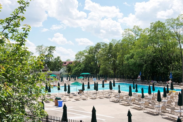 view of swimming pool with a patio