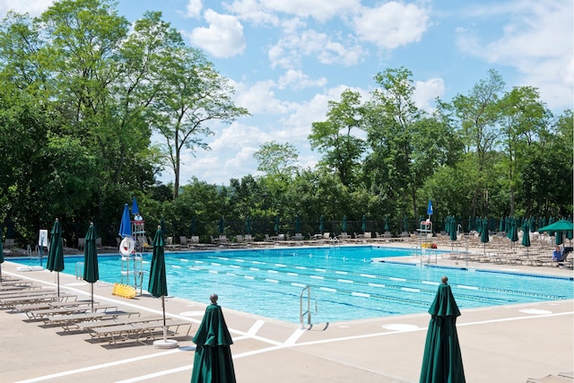 view of swimming pool with a patio