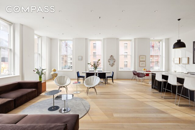 living room with light hardwood / wood-style flooring