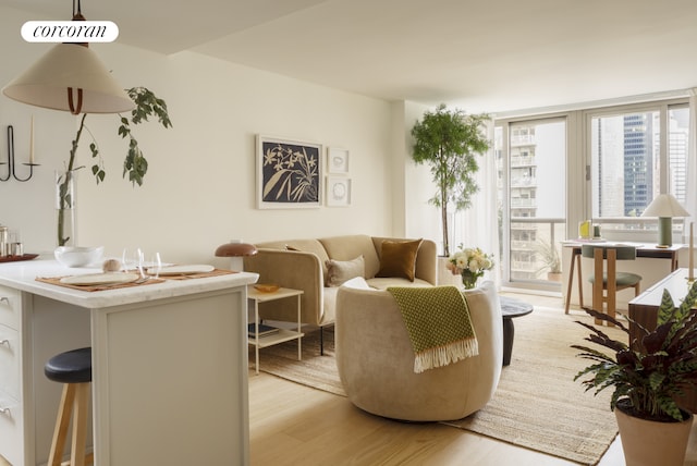 living room with floor to ceiling windows and light hardwood / wood-style floors