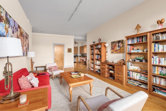 living room with rail lighting and light hardwood / wood-style flooring