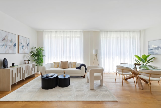 living room featuring light wood-type flooring