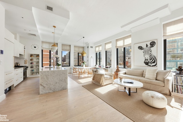 living room featuring light hardwood / wood-style flooring and sink